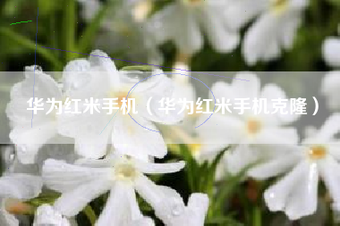 华为红米手机（华为红米手机克隆）
