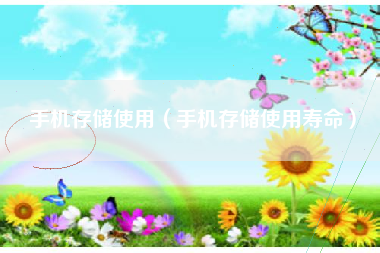 手机存储使用（手机存储使用寿命）