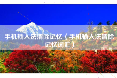 手机输入法清除记忆（手机输入法清除记忆词汇）