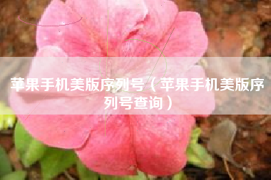 苹果手机美版序列号（苹果手机美版序列号查询）