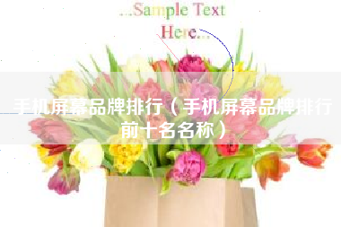 手机屏幕品牌排行（手机屏幕品牌排行前十名名称）