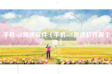 手机wifi测速软件（手机wifi测速软件哪个准）