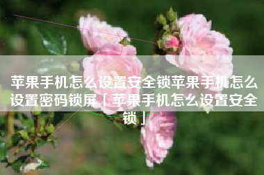 苹果手机怎么设置安全锁苹果手机怎么设置密码锁屏「苹果手机怎么设置安全锁」
