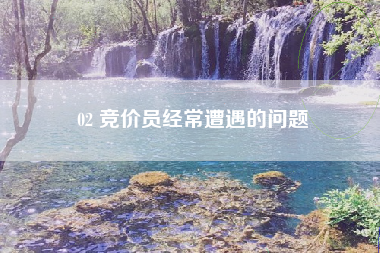 02 竞价员经常遭遇的问题