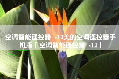 空调智能遥控器  v1.3美的空调遥控器手机版「空调智能遥控器  v1.3」