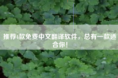 推荐4款免费中文翻译软件，总有一款适合你！
