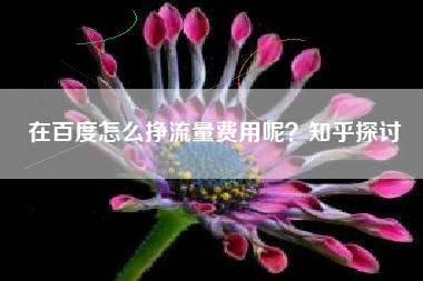 在百度怎么挣流量费用呢？知乎探讨