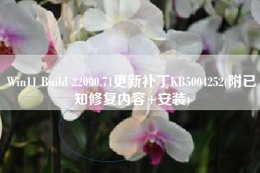 Win11 Build 22000.71更新补丁KB5004252(附已知修复内容+安装)